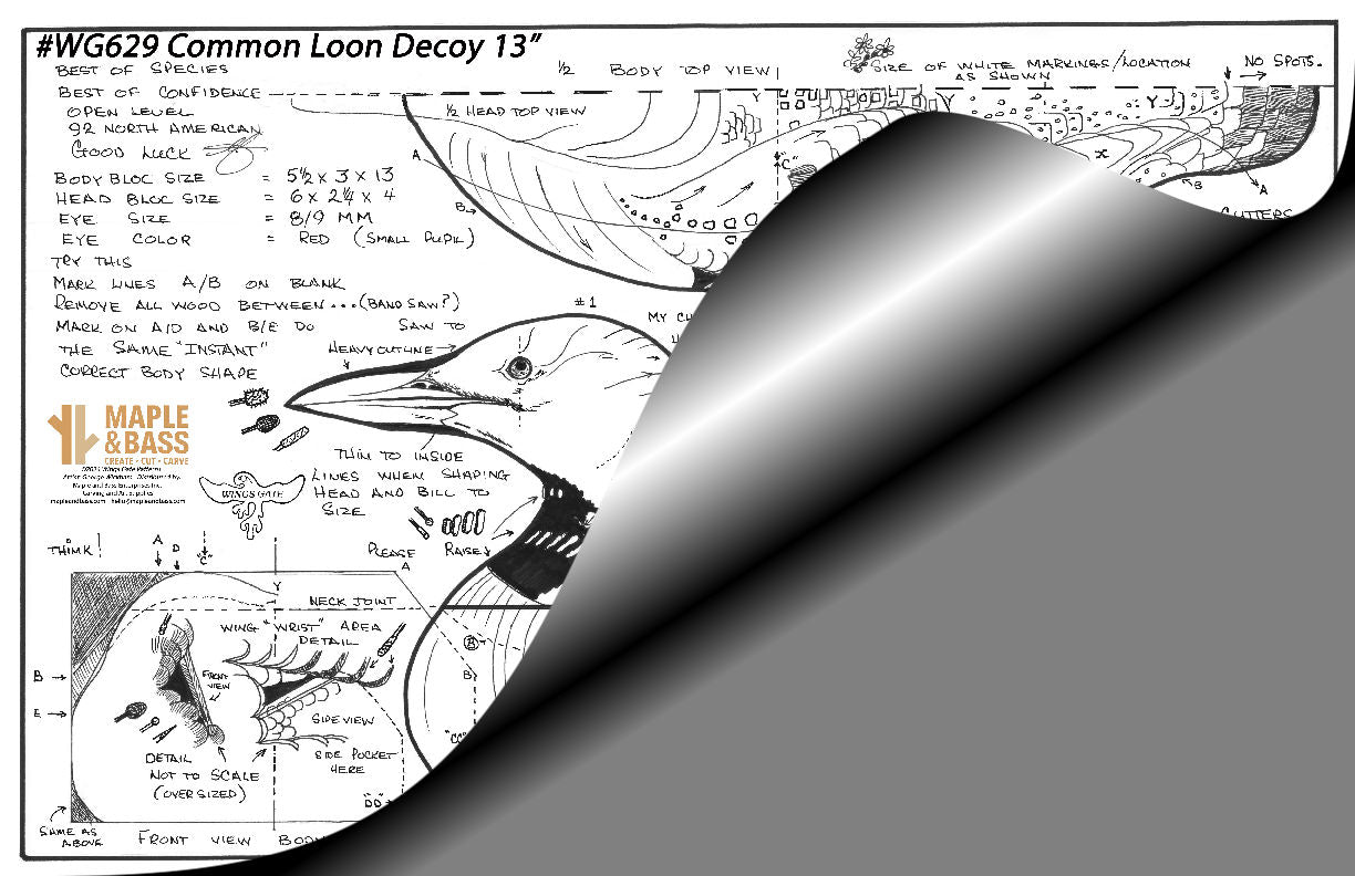 Common Loon Decoy 13" Wings Gate Pattern 11x17 #WG629