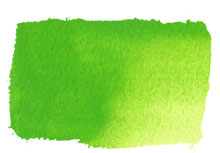 Atelier Free Flow, Permanent Green Light