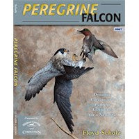Peregrine Falcon