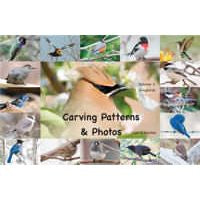 Carving Patterns and Photos Volume 2
