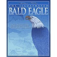 The Illustrated Bald Eagle