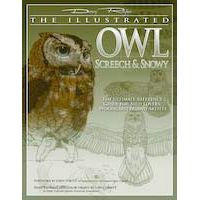 Illustrated Owl: Screech and Snowy