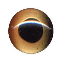 Fish Eye, Enamel-Backed, Gold 6mm