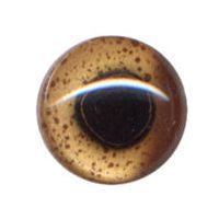 Fish Eye, Enamel-Backed, Rainbow Trout 20mm