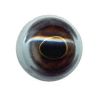 Fish Eye, Flex, Large Mouth Bass/Muskie/Pike 18mm