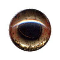 Fish Eye, 24K Gold-Backed, Large Mouth Bass 16mm