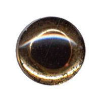 Fish Eye, 24K Gold-Backed, Rainbow Trout 18mm