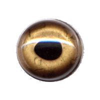Fish Eye, Natural - Gold, General Use 20mm
