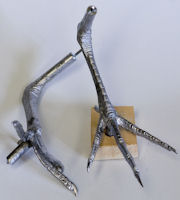 Heron, Green - Feet crouched