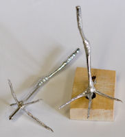 Sandpiper, Least - Feet