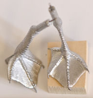 Mini Pelican (30mm) Feet