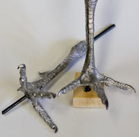 Pheasant, Ringneck - Feet