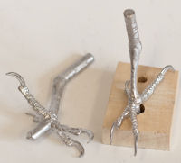 Woodpecker, Red-Headed - Feet