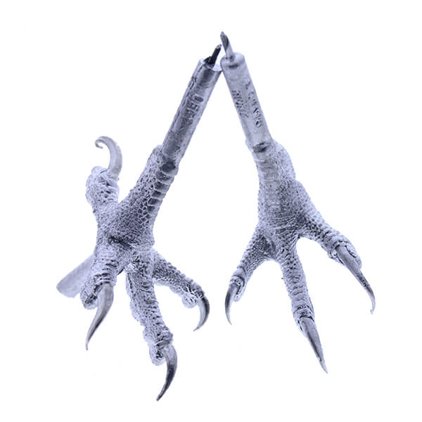 Hawk, Red-Tailed - Feet