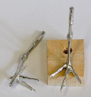 Sandpiper, Spotted - Feet