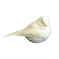 Sparrow, White Throated, Life Size - Study Cast