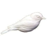 Bluebird, Eastern, Life Size - Study Cast