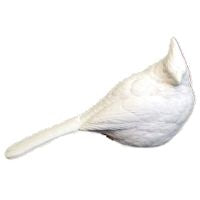 Cardinal, (Fluffy), Life Size - Study Cast