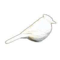 Bluejay, Life Size - Study Cast