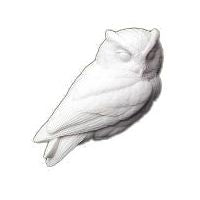 Owl, Screech, 1/2 Life Size - Study Cast