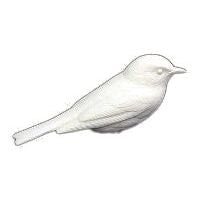 Warbler, Yellow Rumped, Life Size - Study Cast