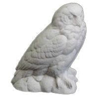 Owl, Snowy, 1/3 Life Size - Study Cast