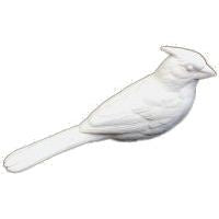 Cardinal, (Summer), Life Size - Study Cast