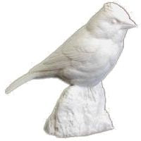 Finch, Purple, Life Size - Study Cast