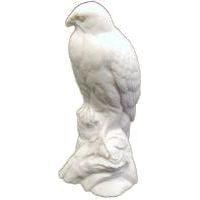 Goshawk, 1/3 Life Size - Study Cast