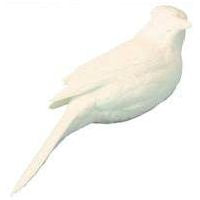 Bluejay, 3/4 Lifesize - Study Cast