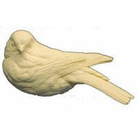Bluebird, Eastern (Fluffy), Life Size - Study Cast