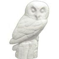 Owl, Saw-Whet, 2/3 Life Size - Study Cast