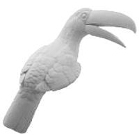 Toucan, 1/3 Life Size - Study Cast