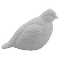 Quail, Bobwhite, 2/3 Life Size - Study Cast