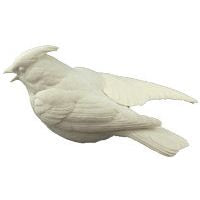 Waxwing, Cedar, Open Bill, Life Size - Study Cast