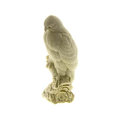 Hawk, Red-Shouldered, 1/3 Lifesize - Study Cast