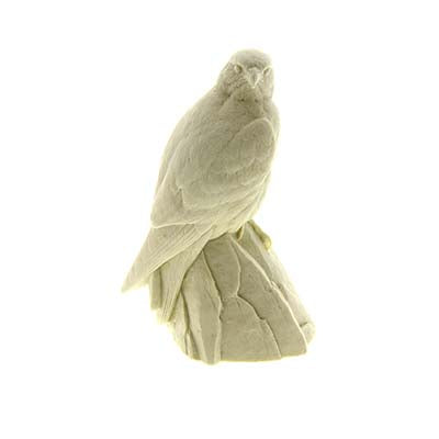 Gyrfalcon, 1/4 Lifesize - Study Cast