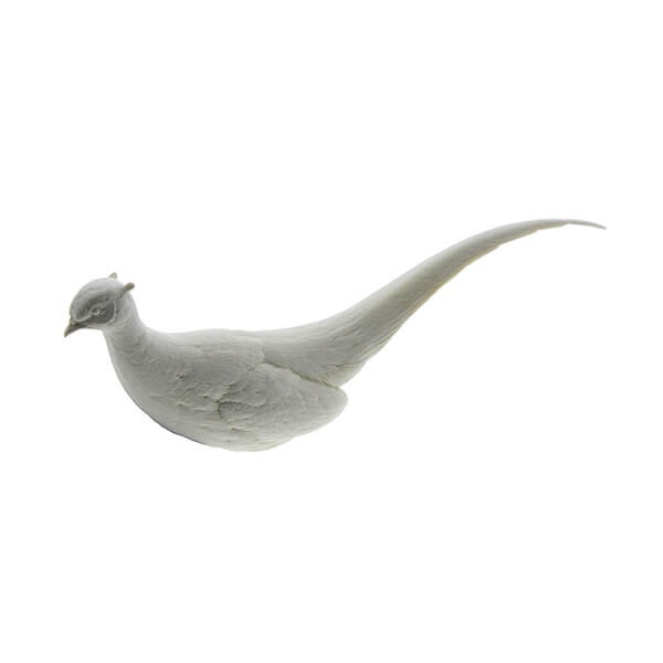 Pheasant, Ring-necked, 1/3 Life Size - Study Cast