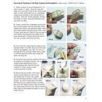 Hummingbird, Costa's - Colour Study Notes