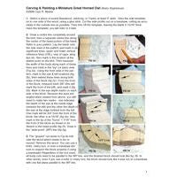 Owl, Great Horned - Colour Study Notes