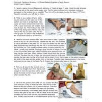 Kingfisher, Belted - Colour Study Notes