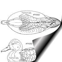 Duck, Blue Wing Teal - Male, Life Size Pattern