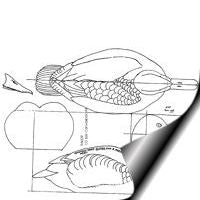 Duck, Canvasback - Male, 1/2 Life Size Pattern