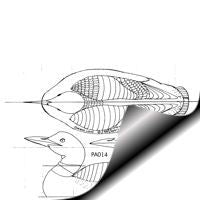Loon - Medium Size Pattern