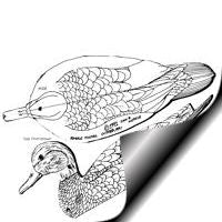 Duck, Pintail - Female, 3/4 Life Size Pattern