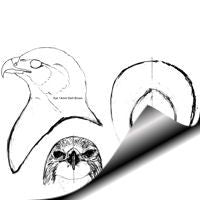 Hawk, Swainson's - (Bust) Pattern