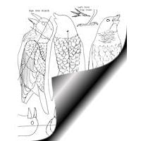 Blackbird, Red-Winged - Life Size Pattern