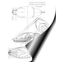 Hummingbird, Costa's - Life Size Pattern