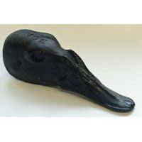 Canvasback Male - Study Bill