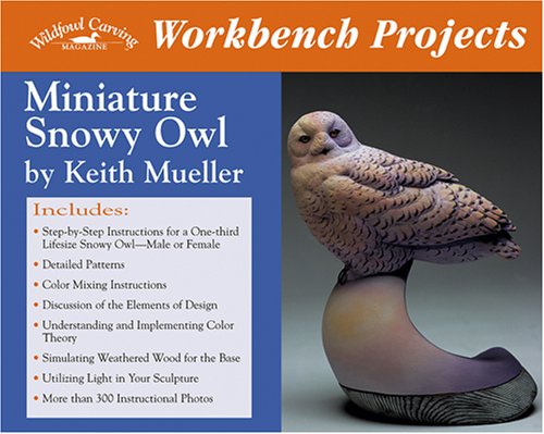 Workbench Projects-Snowy Owl